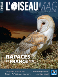 Couverture revue l'OISEAU MAG Hors-série n°23