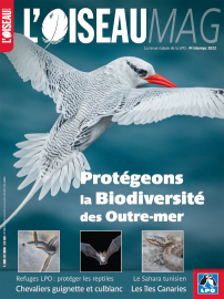 Couverture revue L'OISEAU MAG n°146