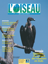 couverture Revue L'OISEAU MAGAZINE n°65