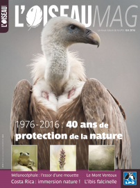 Couverture revue L'OISEAU MAG n°123