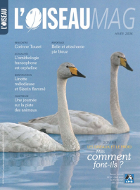 couverture Revue L'OISEAU MAGAZINE n°85