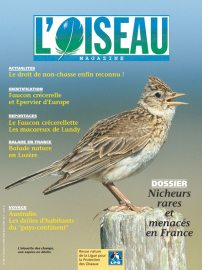 couverture Revue L'OISEAU MAGAZINE n°60
