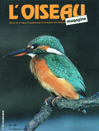 couverture Revue L'OISEAU MAGAZINE n°11