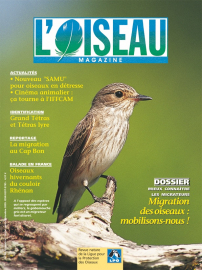 couverture Revue L'OISEAU MAGAZINE n°80