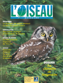 couverture Revue L'OISEAU MAGAZINE n°55