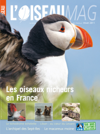 Couverture revue l'OISEAU MAG n°105