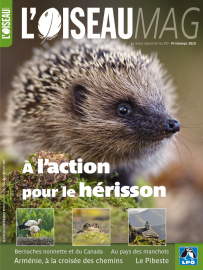 Couverture revue L'OISEAU MAG n°138