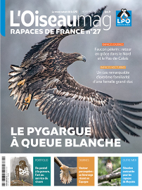 Couverture du hors-série de L'OISEAU MAG, magazine de la LPO, sur les rapaces de France consacré au pygargue à queue blanche