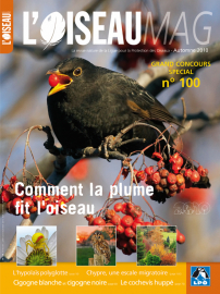 Couverture revue L'OISEAU MAG n°100