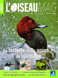 couverture Revue L'OISEAU MAGAZINE n°96