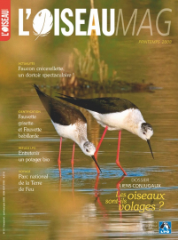 Couverture revue l'OISEAU MAG n°91