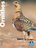 couverture d'Ornithos