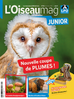 couverture de l'Oiseau Mag Junior