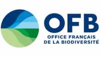 Logo OFB