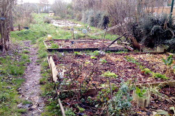 Le potager du Bizardin en arrière saison © LPO