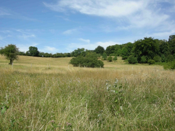 Ecocentre de Villarceaux