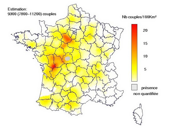 Busard St Martin (Thiollay & Bretagnolle, 2004 - Rapaces nicheurs de France, distribution, effectifs et conservation ; Ed. Delachaux & Niestlé)