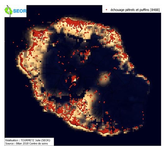 Carte de la pollution lumineuse et des échouages de Pétrel de Barau et de puffins recensés entre novembre 2012 et décembre 2018 (Source : NOAA, Tourmetz 2018).