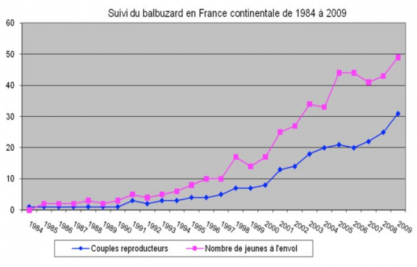 Suivi du Balbuzard en France continentale de 1984 à 2009