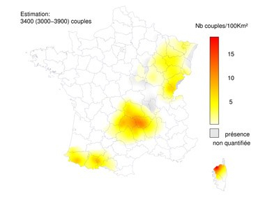 Carte extraite de Rapaces nicheurs de France, Jean-Marc Thiollay et Vincent Bretagnolle chez Delachaux et Niestlé.