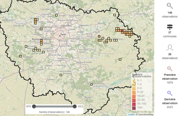 Répartition du Demi-argus en Ile-de-France