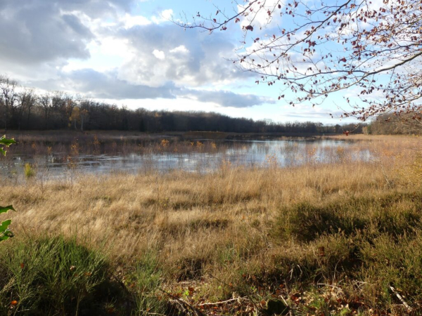 Etang du Grand Albert en eau – Jean-Marc Taupiac