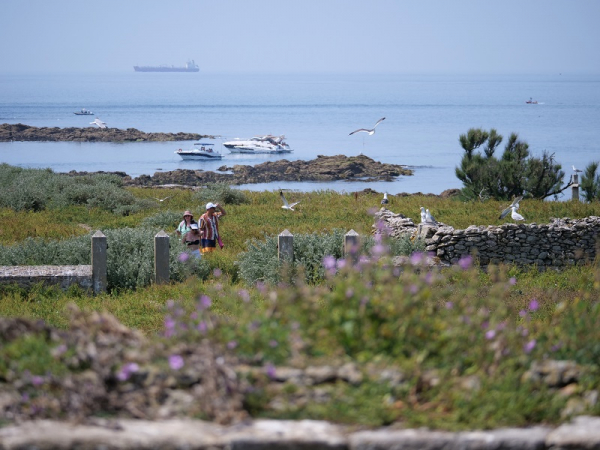 Ile du Pilier : on accoste et ça décolle … Un peu de sensibilisation est nécessaire