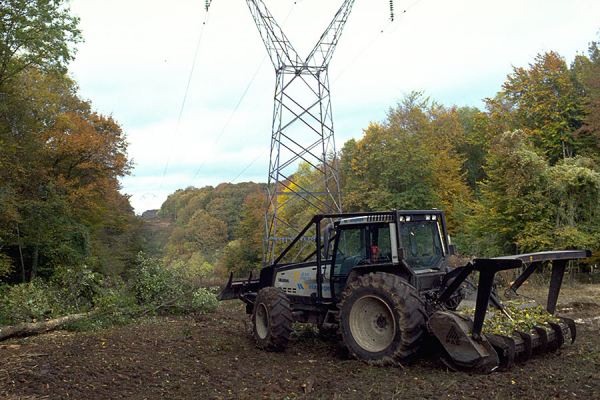 Elagage aux abords des réseaux électriques de distribution