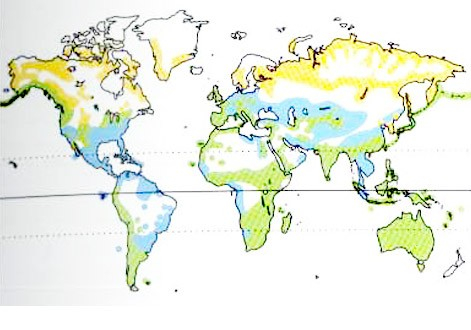 Distribution mondiale