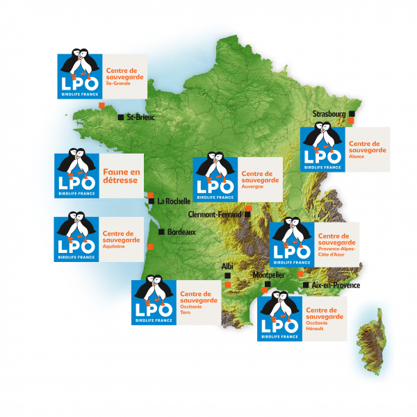 Carte de France mentionnant les centres de soins de la LPO