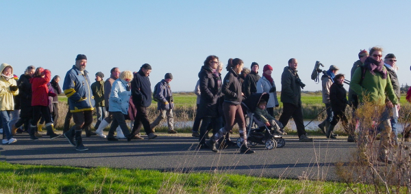 Sortie Transhumance avec la LPO Vendée