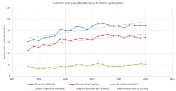 Evolution historique de la population française de Vautours percnoptères ( Nombre de couples territoriaux)