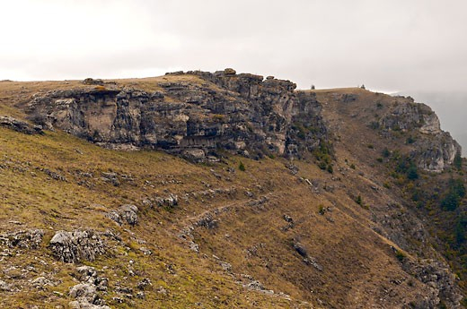 Site de lâcher des Gypaètes