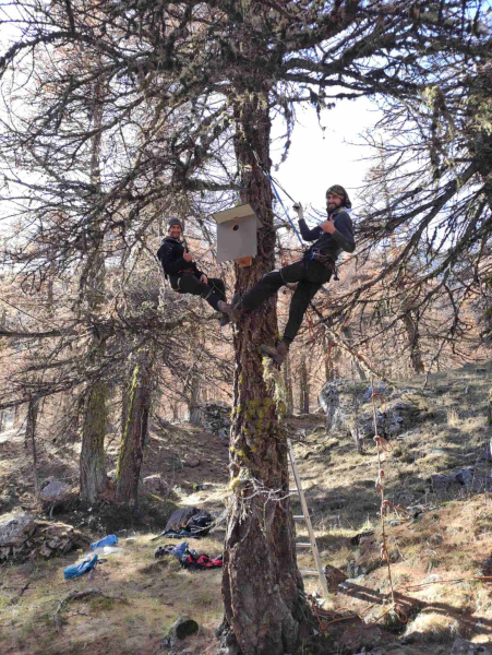 Bénévoles installant le nichoir