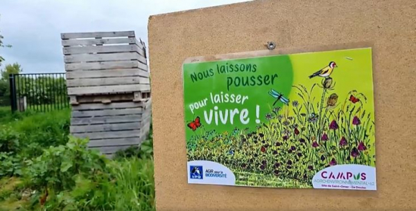 panneau "nous laissons pousser pour laisser vivre"