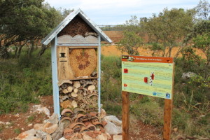 Hôtel à insectes