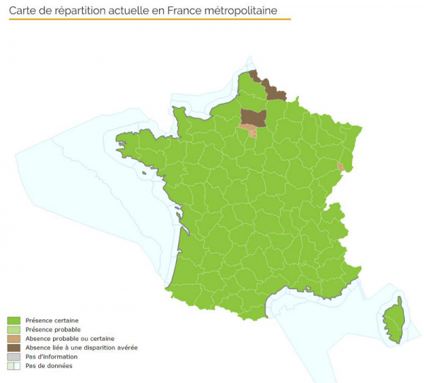 Carte répartition Barbastelle d'Europe