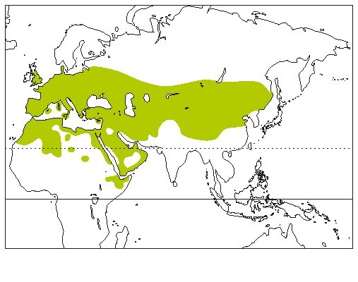 Carte mondiale de répartition de la chevêche d'Athéna, Carte fournie avec l’aimable autorisation de Lynx Edictions, extrait Del Hoyo J., Elliott A. & Sargatal, J.eds., 1994, Handbook of the Birds of the World. Vol. 5. Barn-owls to Hummingbirds, Lynx Edictions, Barcelona