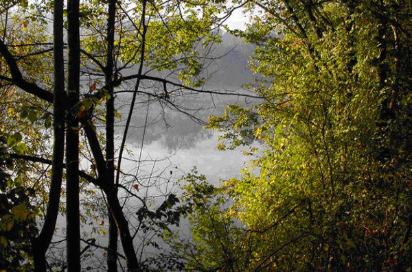 Haute-Ile &agrave; Neuilly-sur-Marne