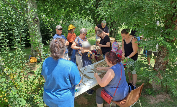 Des personnes assemblent des tiges végétales en fagot pour faire des gîtes pour les abeilles sauvages.