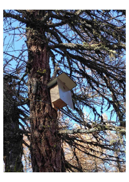 Nichoir installé