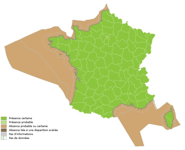 Carte de la répartition du sanglier d’Europe en France métropolitaine (Source : INPN)