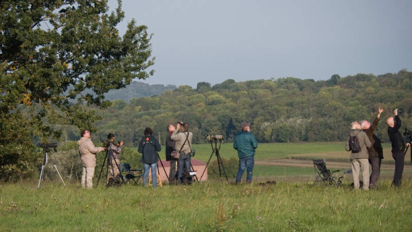 Groupe local Plaine et forêt du Pays de France