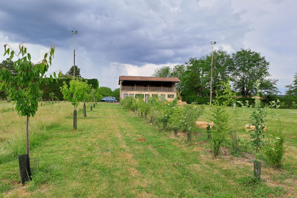 Le verger au printemps &copy; Verger et Biodiversit&eacute;