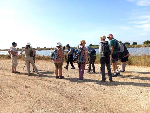 Une sortie aux Vieux Salins &copy; Groupe local LPO Hy&egrave;res Les Maures