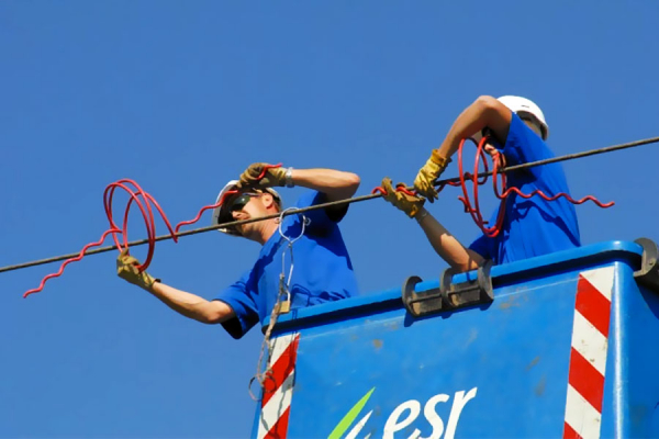 Sécurisation des lignes électriques en Alsace dans le cadre de la préservation du Balbuzard pêcheur