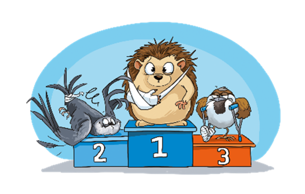 Podium des 3 espèces les plus accueillies : 1. hérisson / 2. Martinet noir / 3. Moineau domestique