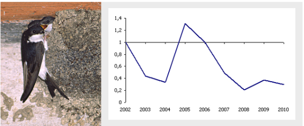Hirondelle de fen&ecirc;tre et son &eacute;volution en &Icirc;le-de-France d'apr&egrave;s les donn&eacute;es Oroc