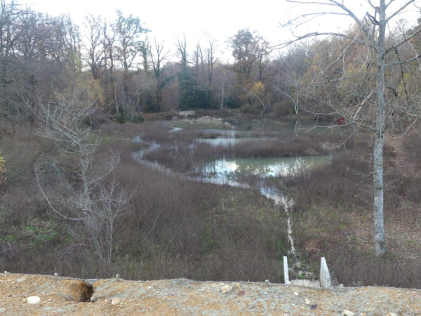 Etang du Grand Albert en eau – Jean-Marc Taupiac