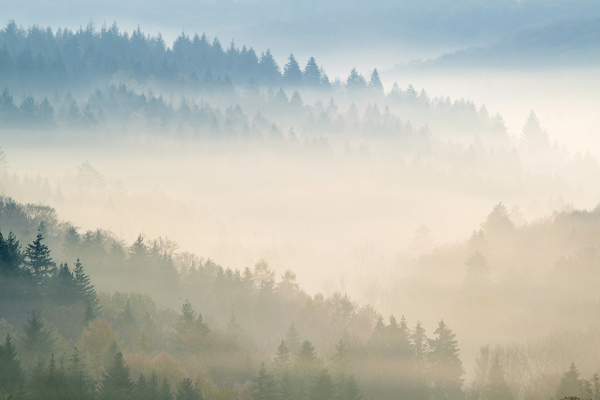 Nos 10 propositions – LPO (Ligue pour la Protection des Oise…